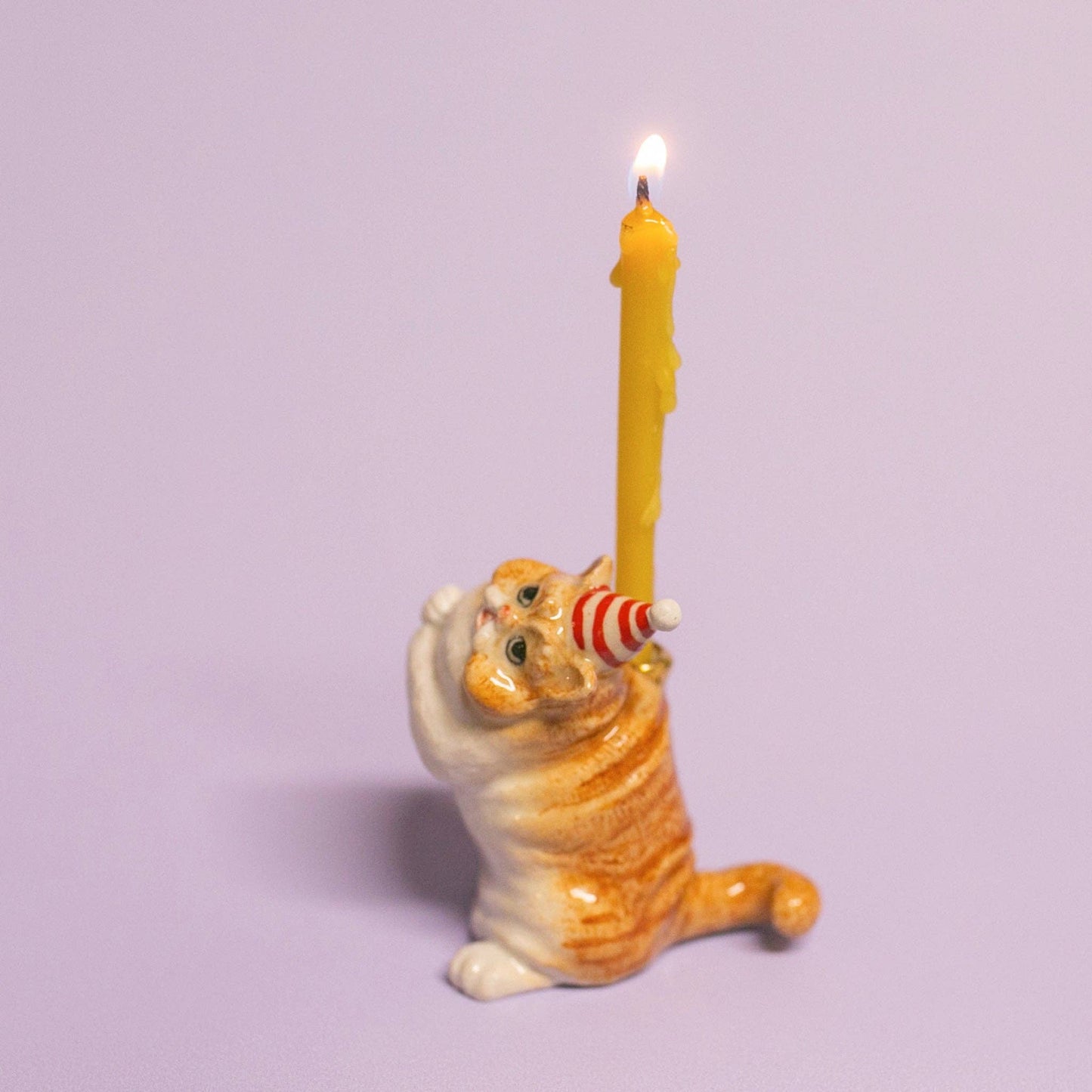 Camp Hollow Cake Topper; Exotic Shorthair Cat