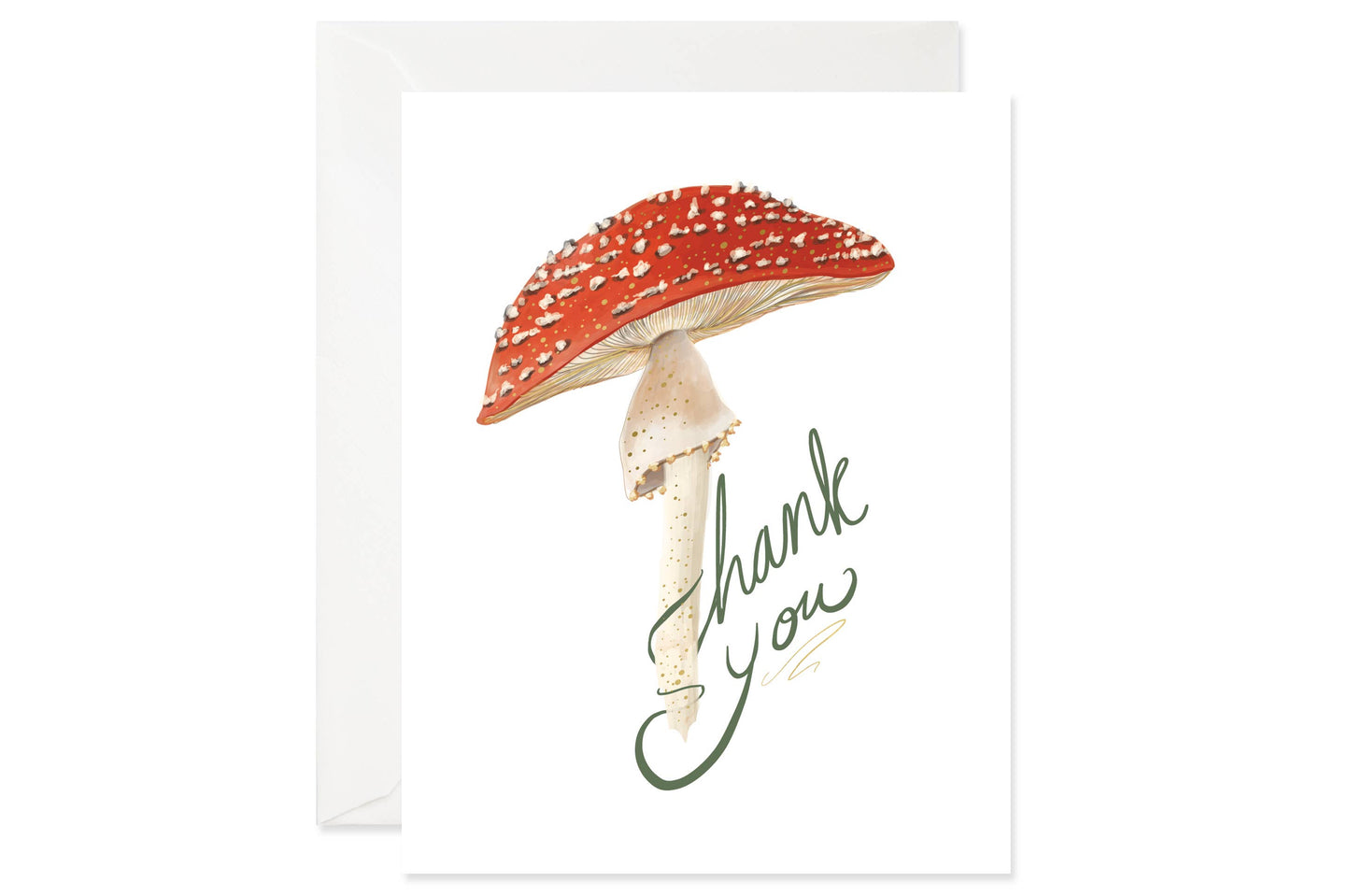 Boxed Thank You Card Set; Mushroom Thank You (6 Cards + Envelopes)