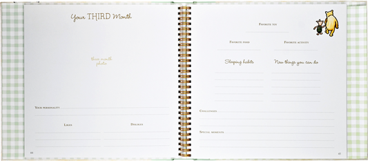 Winnie-the-Pooh Baby Book; The First Five Years