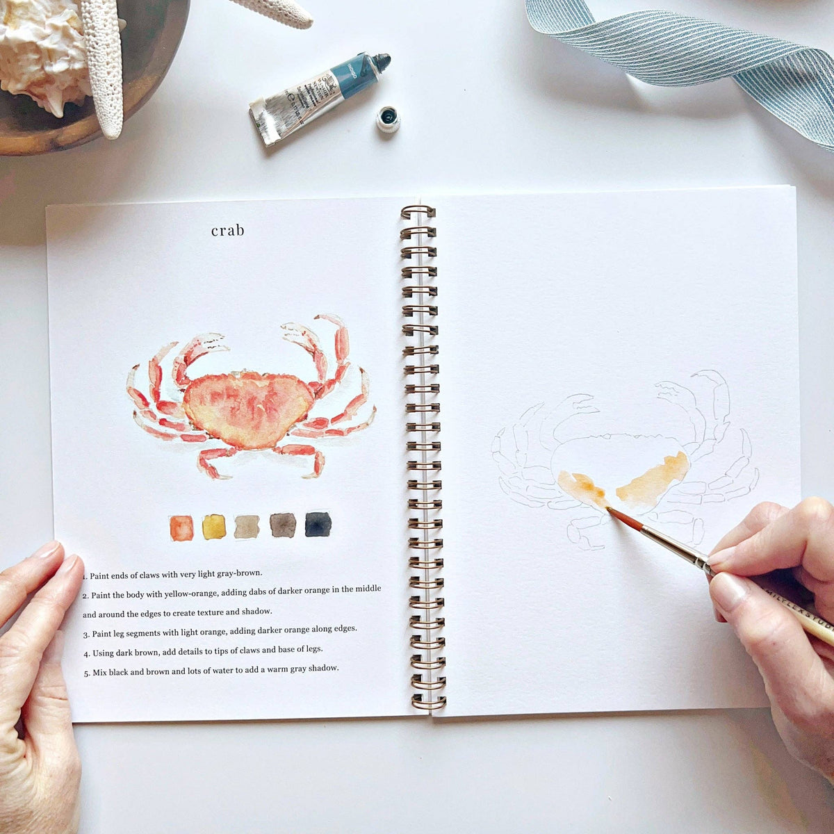 Open spread of Seaside Watercolor Workbook open to crab page, hand beginning to paint light orange-yellow watercolor on a crab sketch, with completed red-orange crab illustration, color palette, and step-by-step instructions on left, watercolor tubes and blue ribbon in background