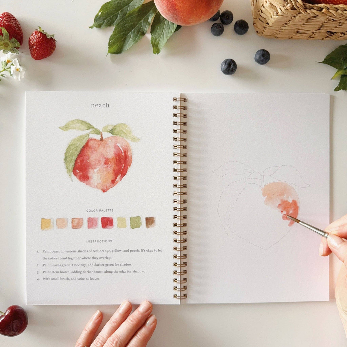 Open spread of Emily Lex Studio Fruit Watercolor Workbook at the peach lesson — completed rosy peach illustration with color palette and 4-step instructions on the left, hand beginning to paint soft peach tones on the outlined peach sketch on the right