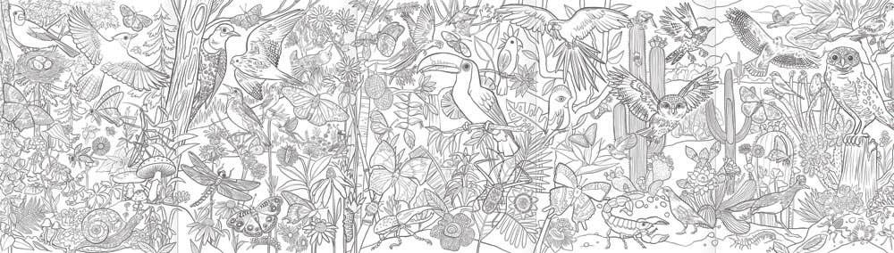 Eeboo Fold-Out Coloring Book; Bugs, Birds & Butterflies