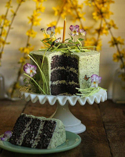 Camp Hollow Cake Topper; Cricket (Hand-Painted Porcelain)