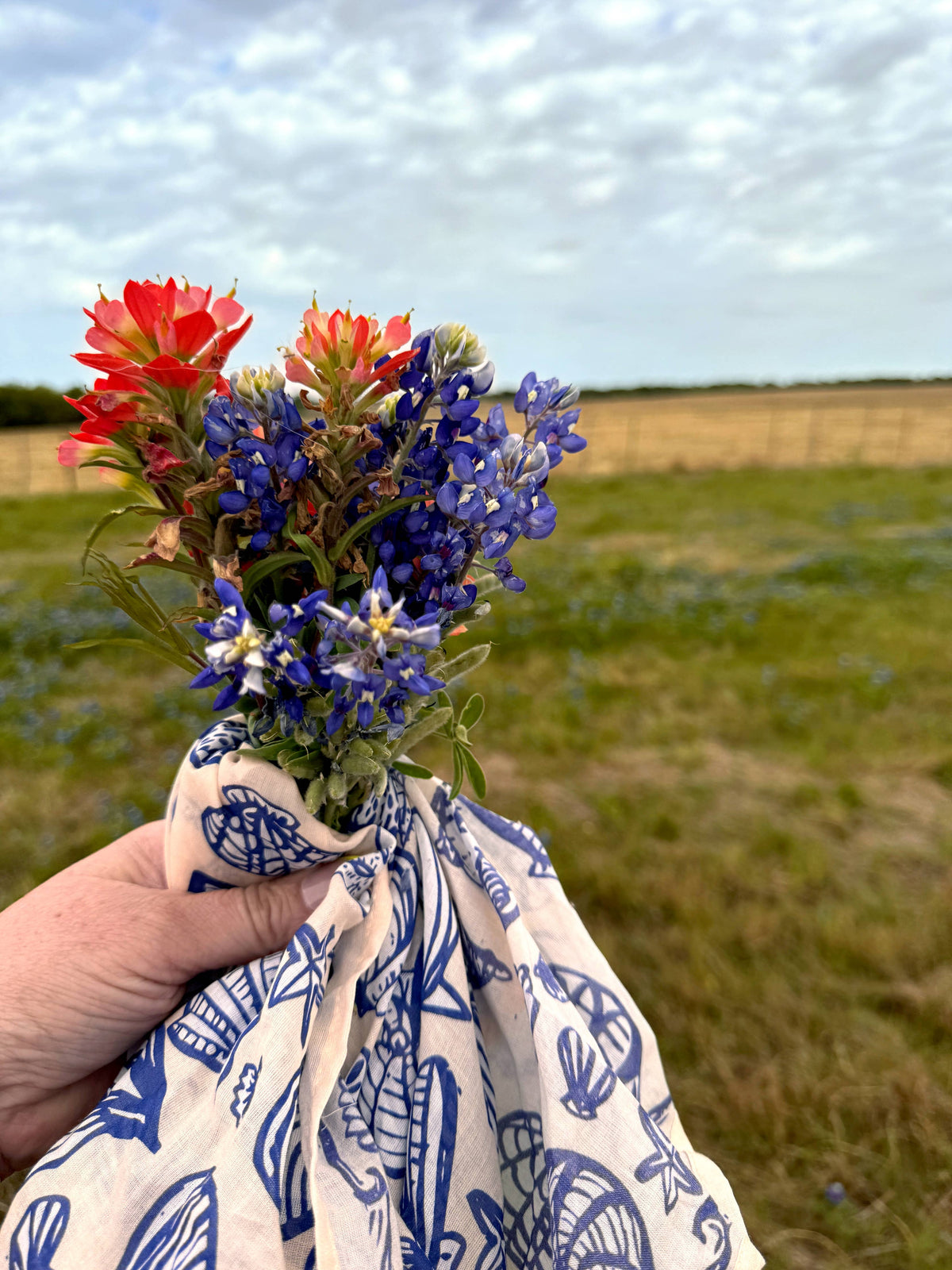 Wild Rag Bandana; Seashore | Handker Bandanas