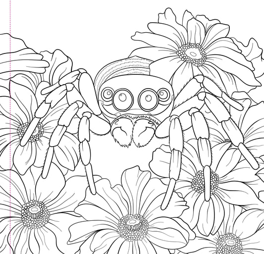 Adult Coloring Book; Goth Garden