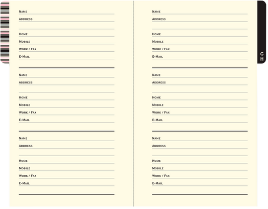 Address Book; Little Pink Book Of Addresses