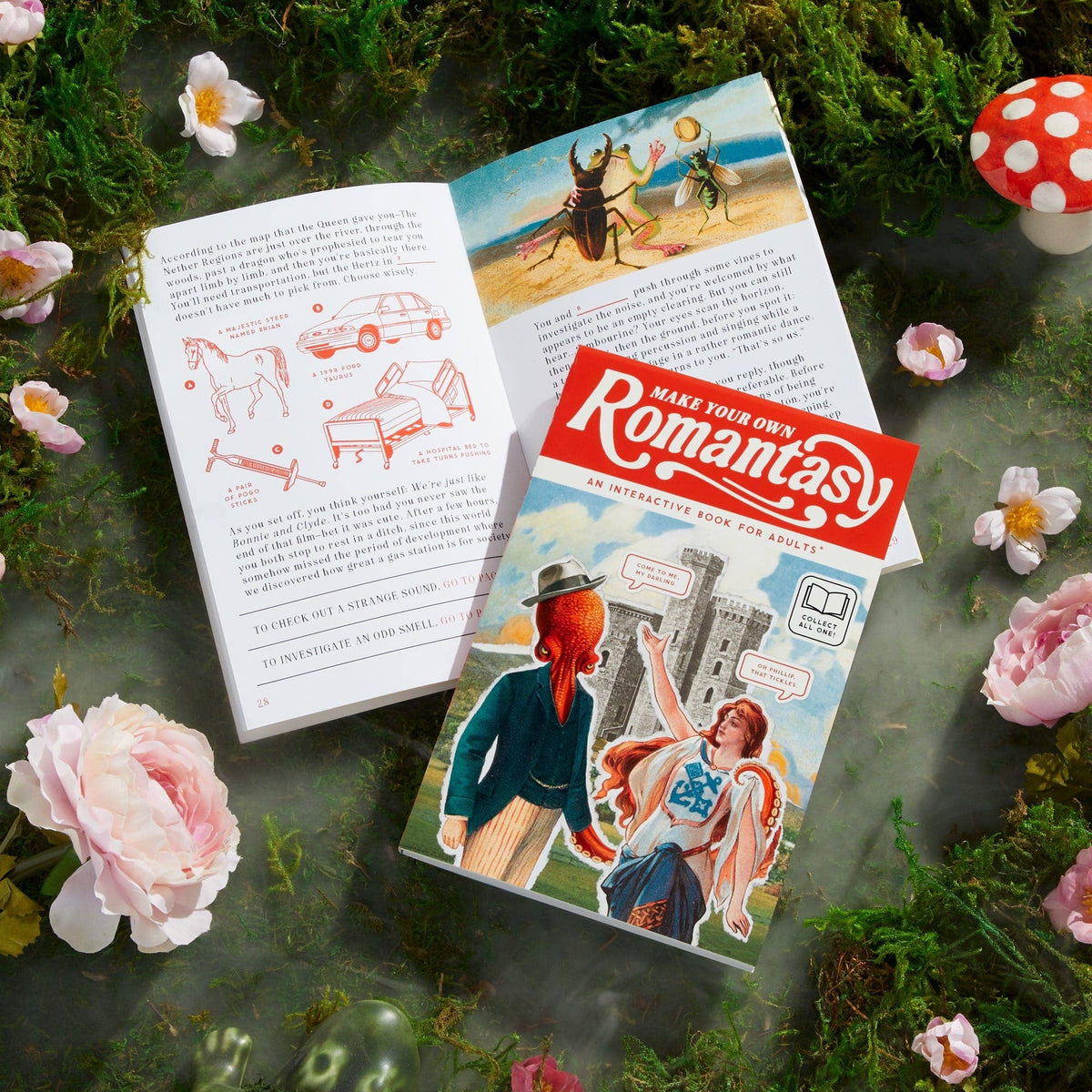 Activity Book; Make Your Own Romantasy | Brass Monkey