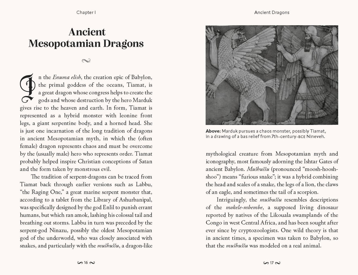 Book; Pocket Book of Dragons | Chronicle Books