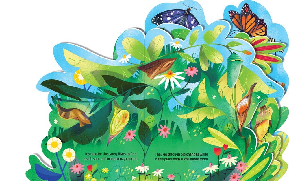 Board Book; Beautiful Butterflies