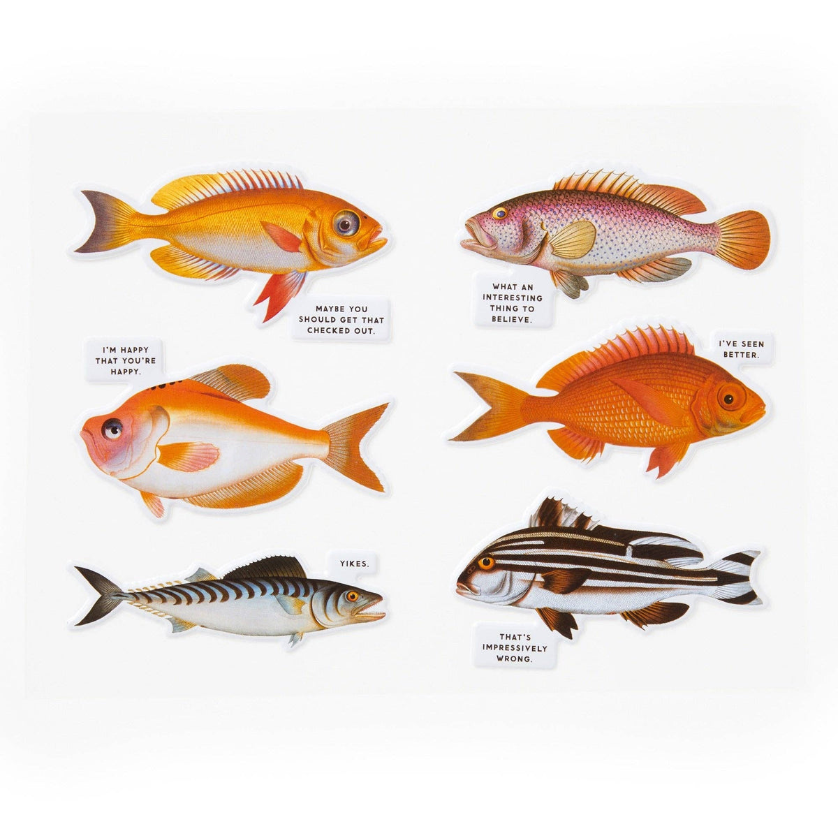 Jigsaw Puzzle; Judgy Fish (1000 Pieces)