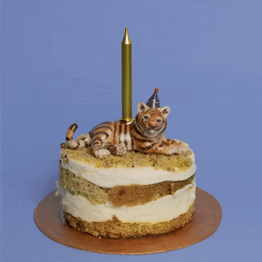 Camp Hollow Cake Topper; Year of the Tiger