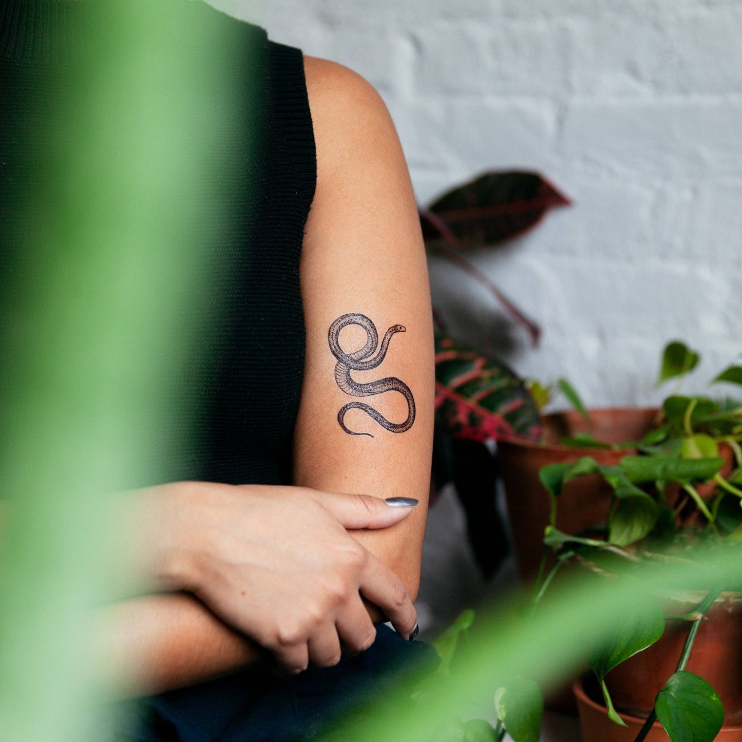 Temporary Tattoo Pack; Serpent