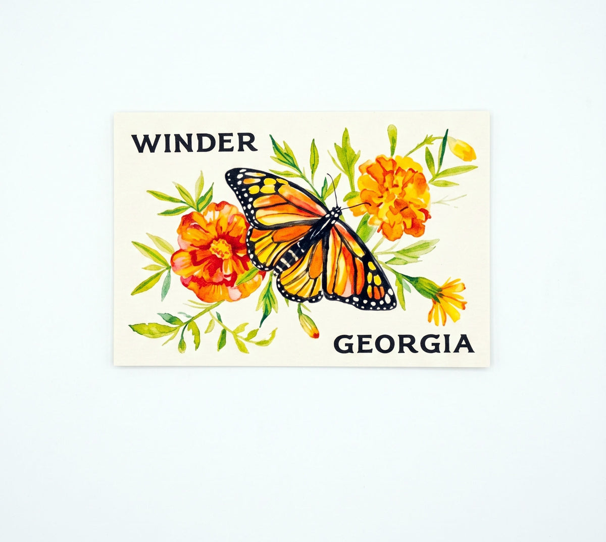 Winder Butterfly Postcard | Made by Shellie