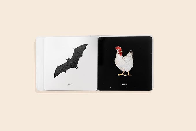 Baby Book; Baby's Black and White Contrast Book (High-Contrast Art for Visual Stimulation at Tummy Time)