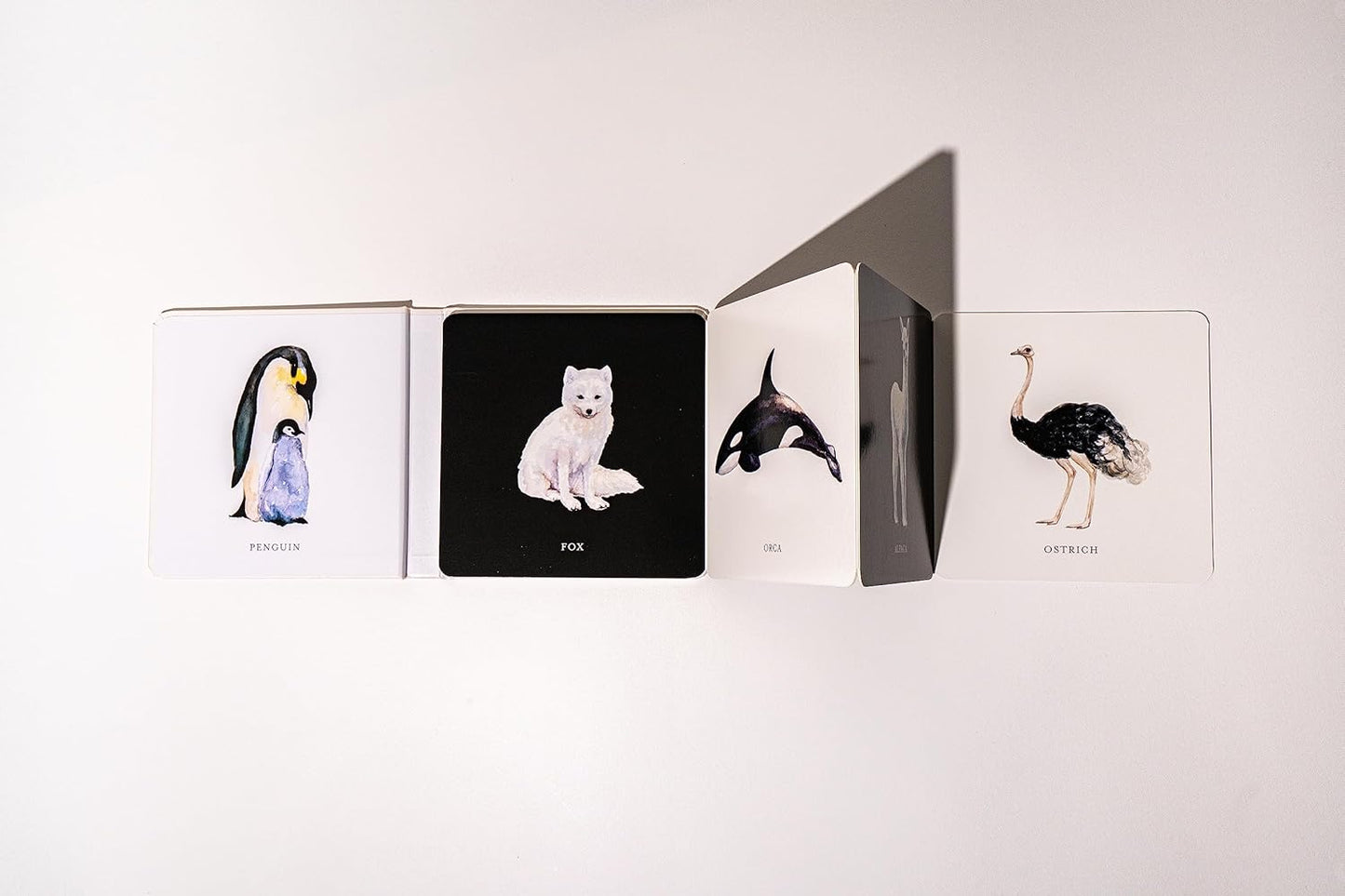 Baby Book; Baby's Black and White Contrast Book (High-Contrast Art for Visual Stimulation at Tummy Time)
