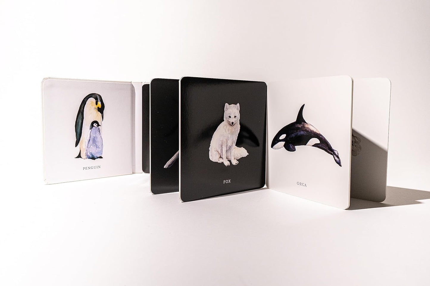 Baby Book; Baby's Black and White Contrast Book (High-Contrast Art for Visual Stimulation at Tummy Time)