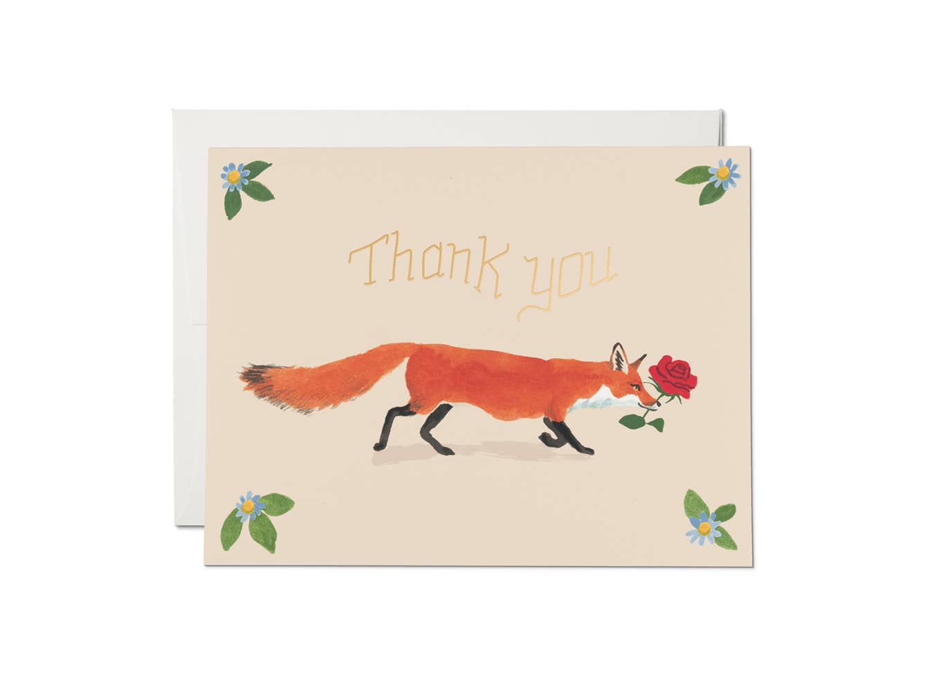 Thank You Card; Thanks Fox