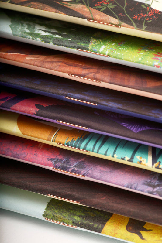 Field Notes; Series F - National Parks Notebooks (3 Pack)