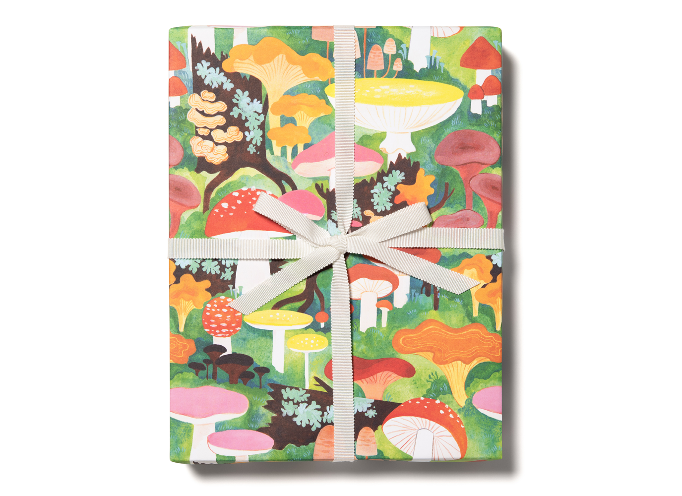 Wrapping Paper Rolls; Woodland Mushrooms