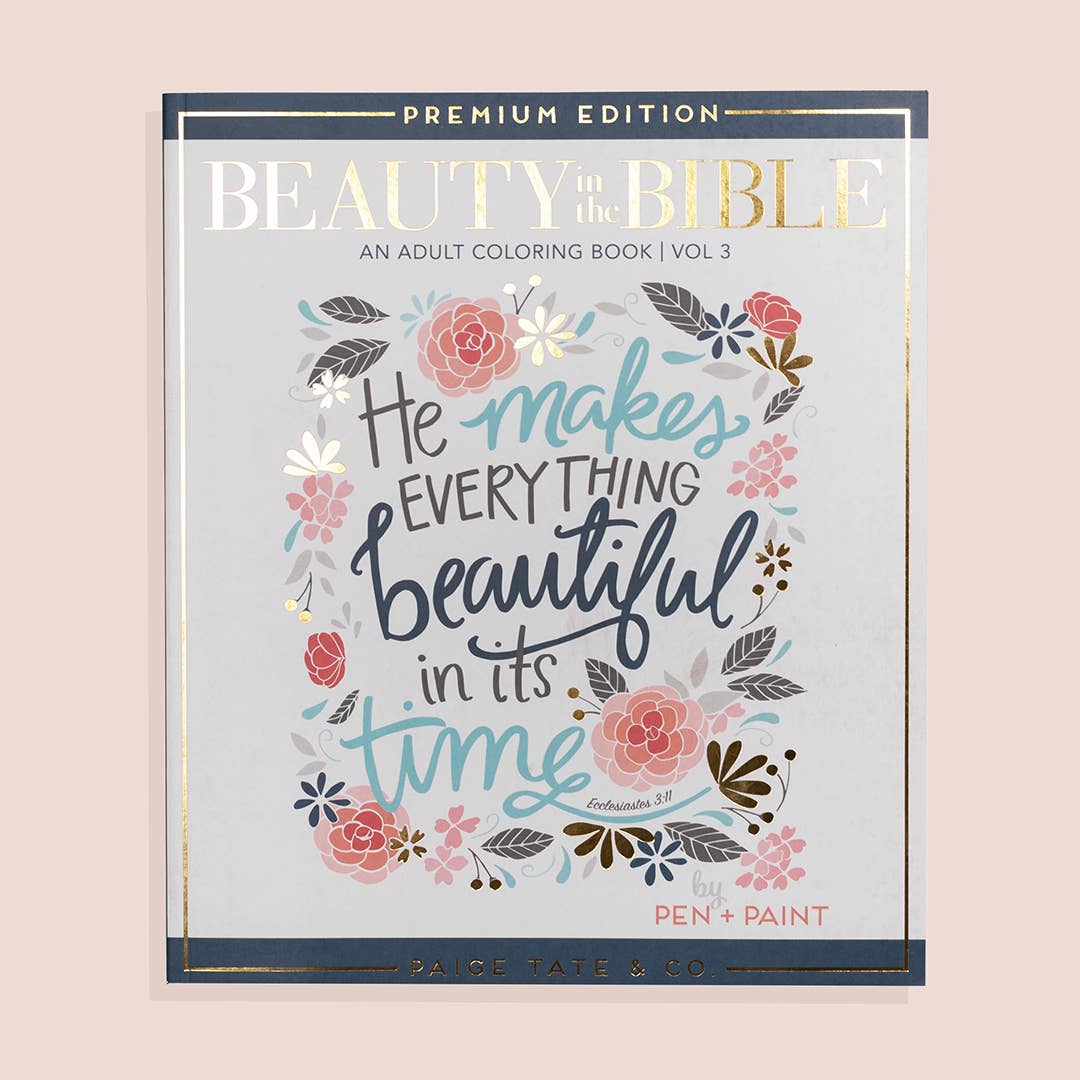 Coloring Book; Beauty in The Bible 3 (Christian Coloring Book)