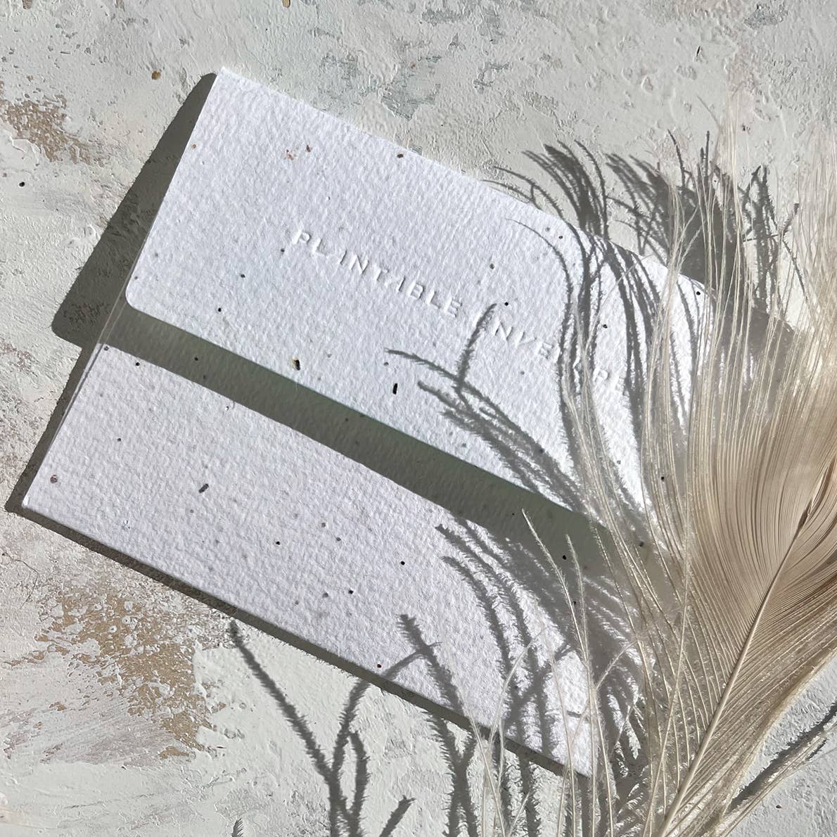 Thank You Card; Peach | Seedlings