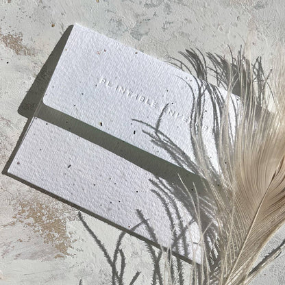 Thank You Card; Peach | Seedlings