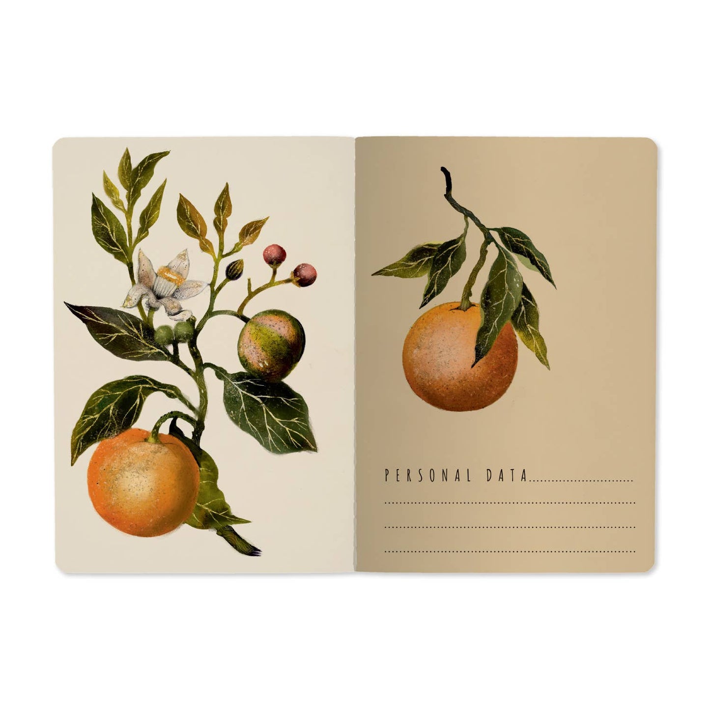 A5 Notebook; Oranges and Blossoms - BV by Bruno Visconti