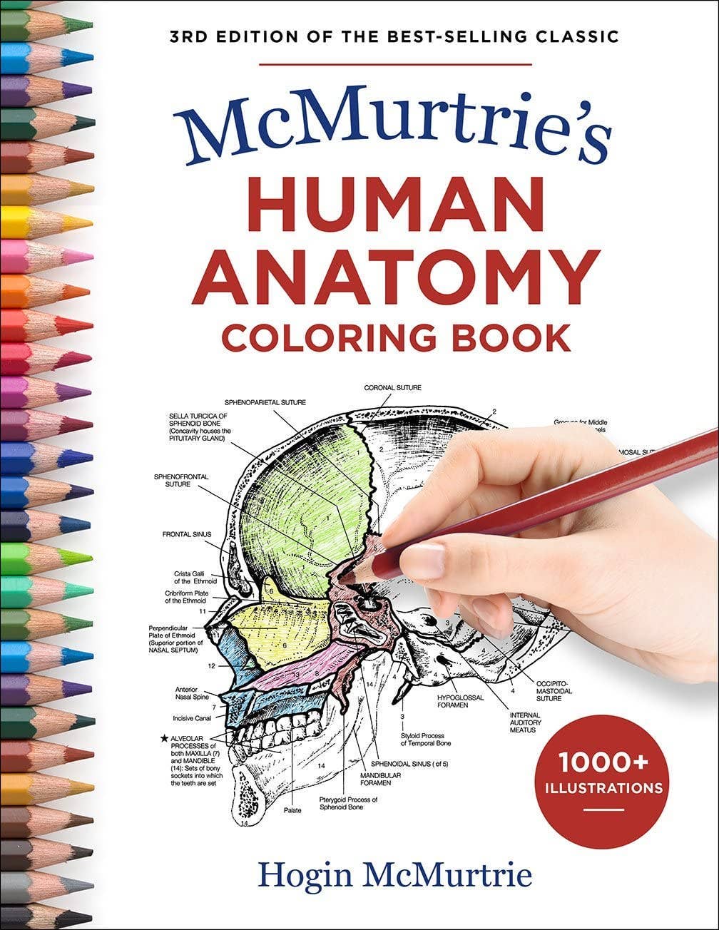 McMurtrie's Human Anatomy Coloring Book cover — 3rd edition by Hogin McMurtrie — white cover with bold red title, hand coloring a labeled cross-section skull diagram with a red colored pencil, rainbow of colored pencils along the left edge, and "1000+ Illustrations" badge