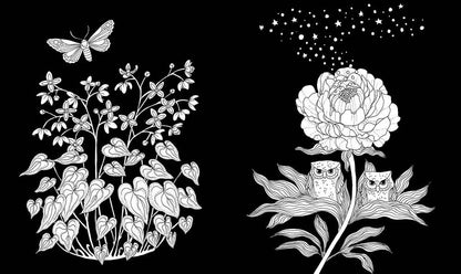 Mature Coloring Book; Nightfall