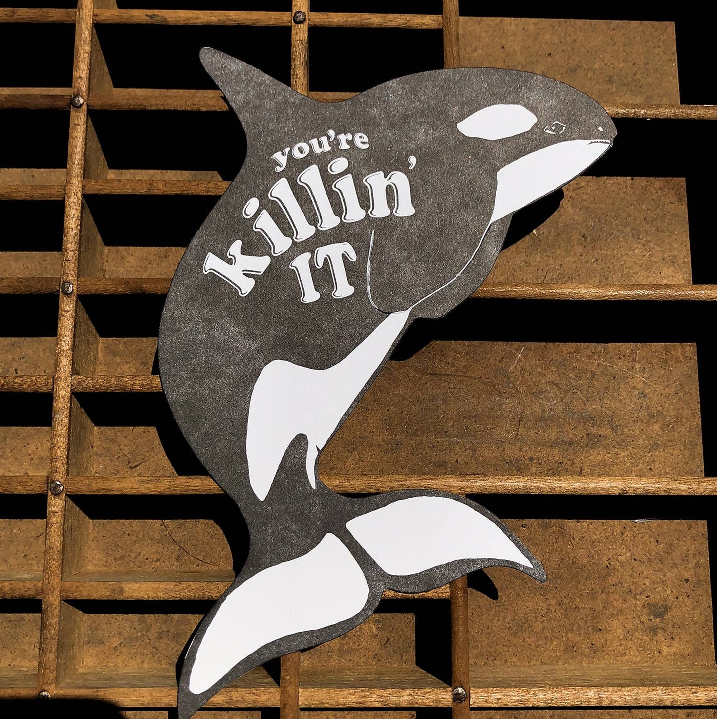 Gift Card Holder; Killin' It Killer Whale
