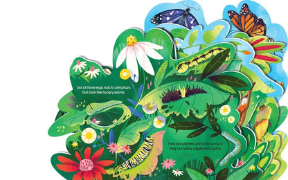 Board Book; Beautiful Butterflies