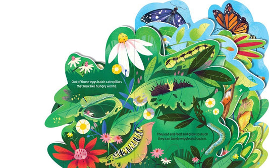 Board Book; Beautiful Butterflies