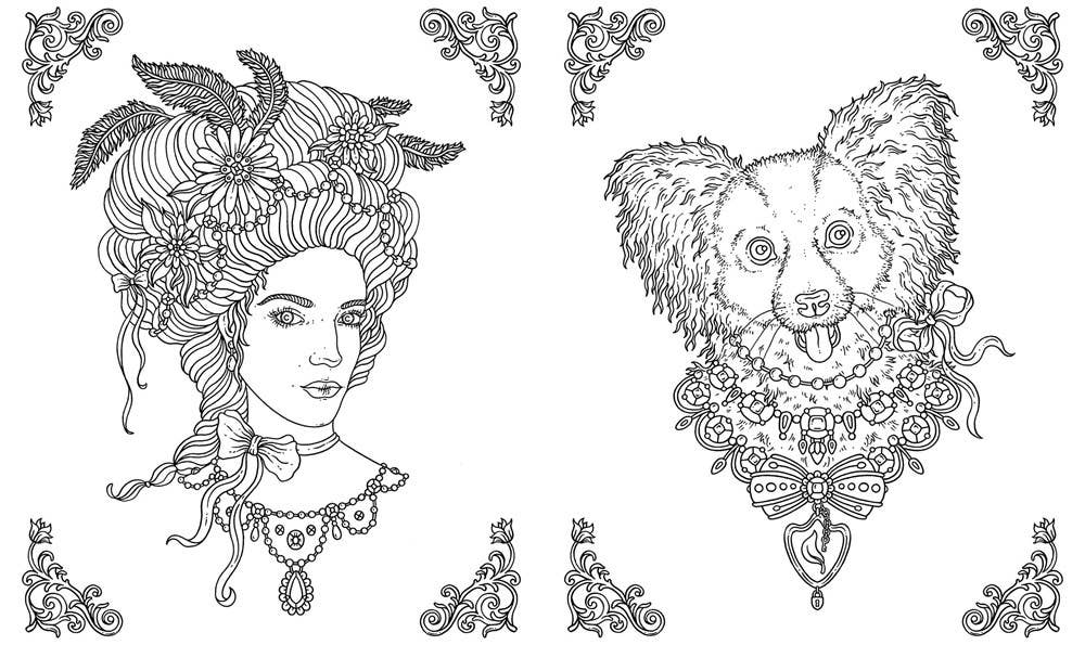 Mature Coloring Book; Spirit Animals