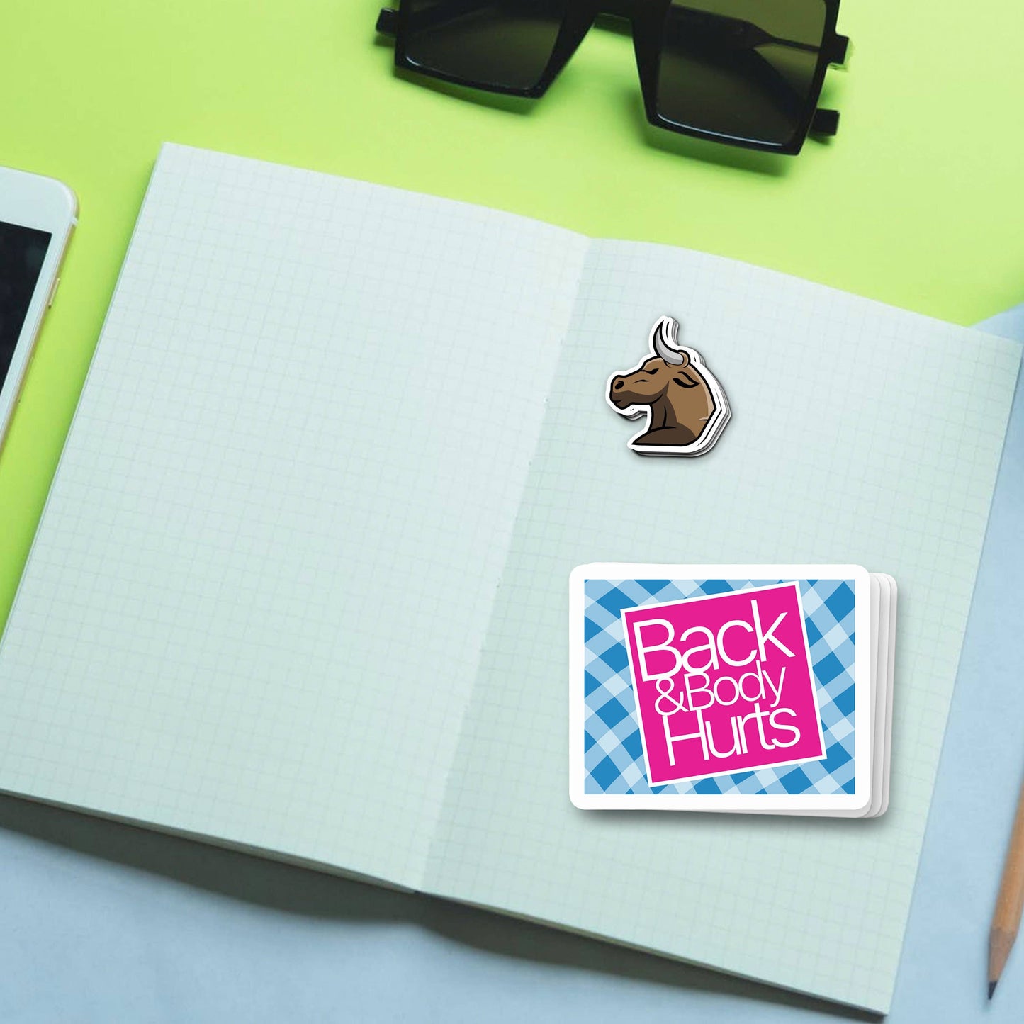 Vinyl Sticker; Back And Body Hurts