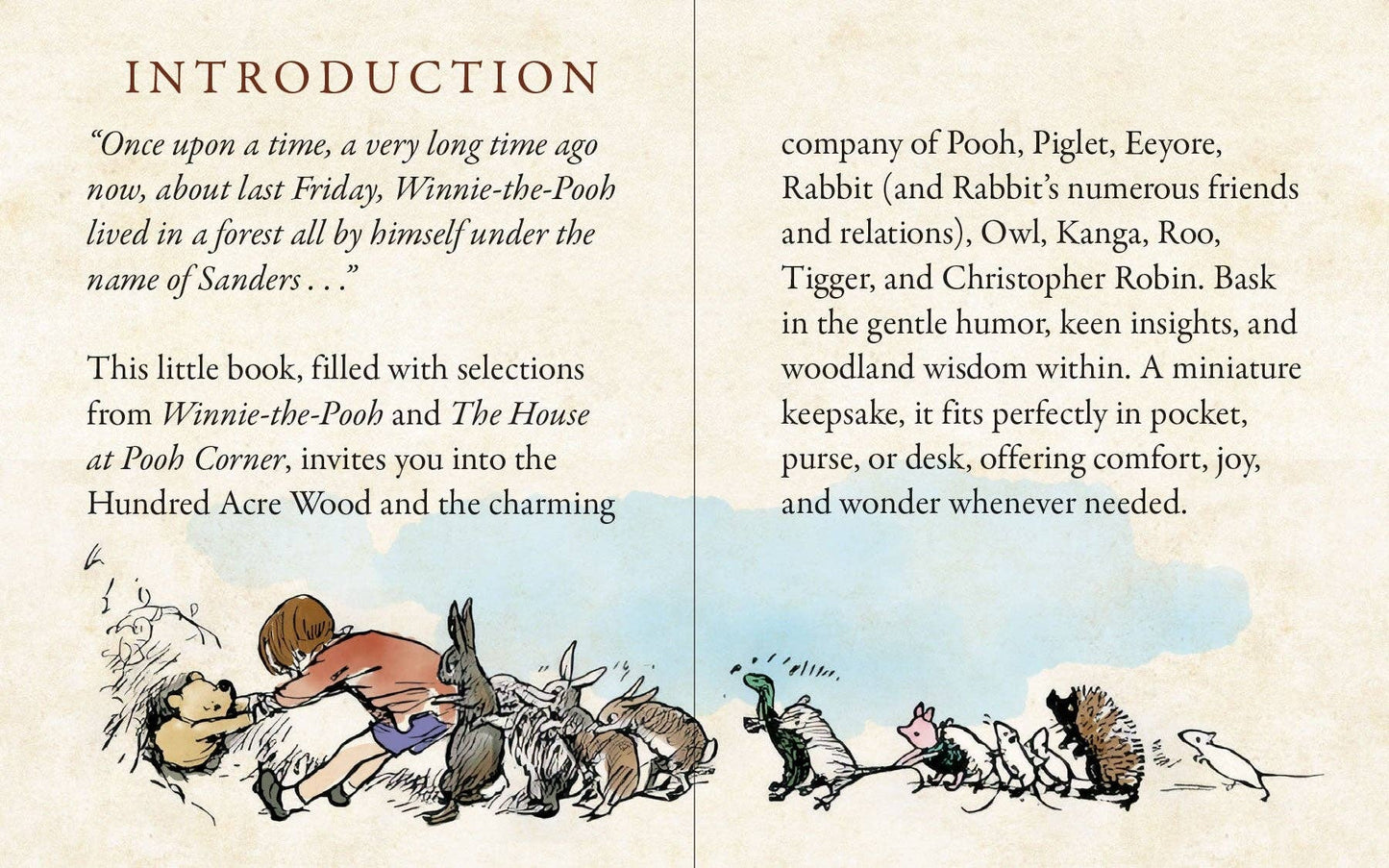 Children's Book; The Pocket Pooh