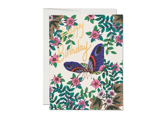 Birthday Card; Delicate Butterfly