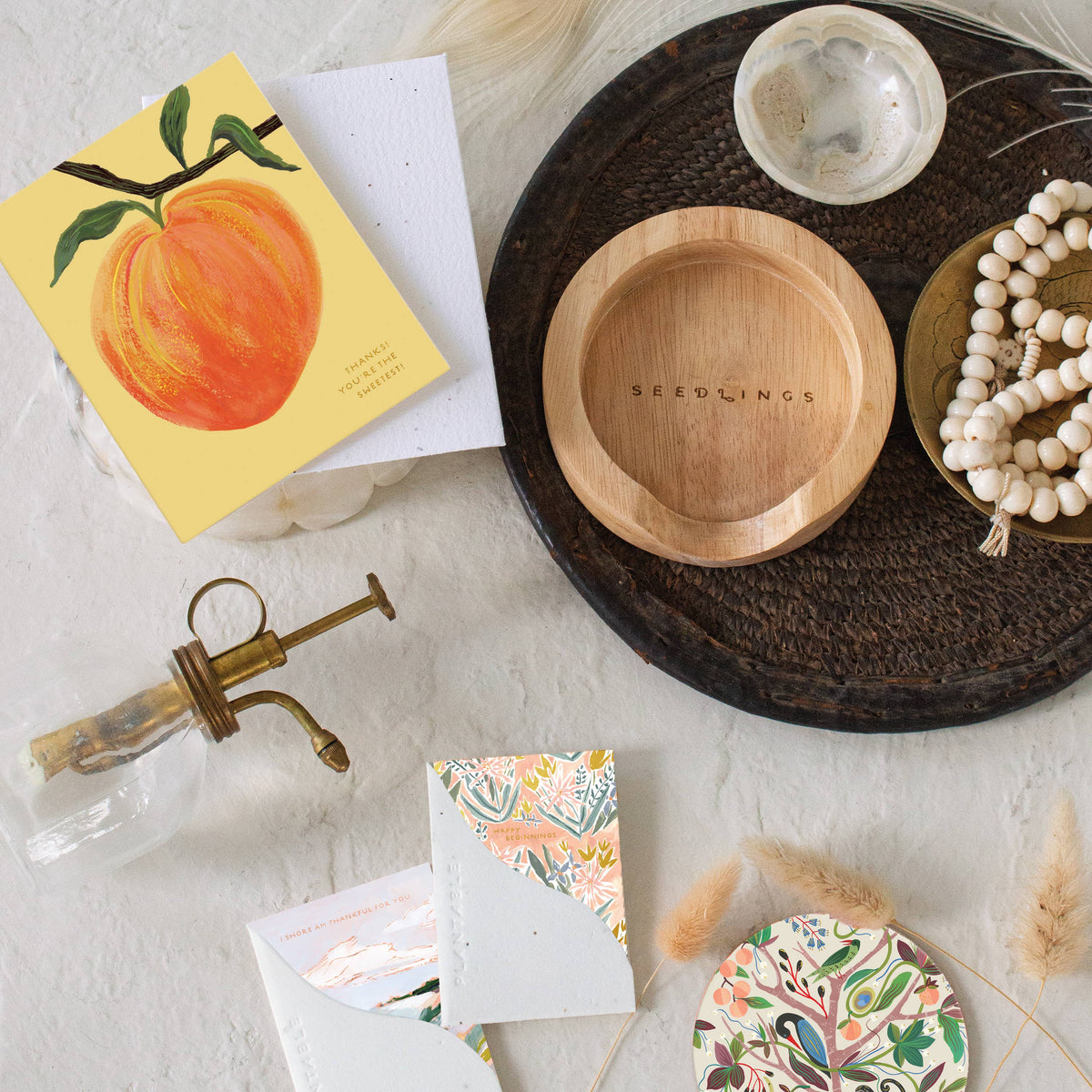 Thank You Card; Peach | Seedlings