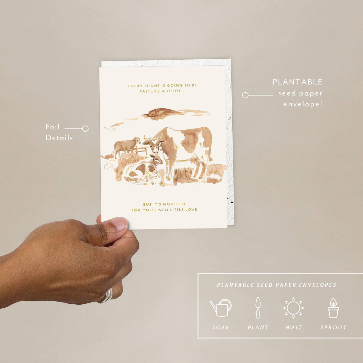 Baby Card; Pasture Bedtime | Seedlings