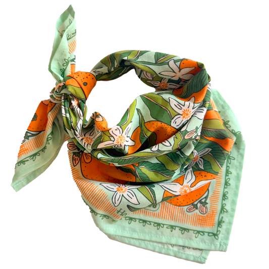 Bandana; No. 146 Zoe | Handker Bandanas