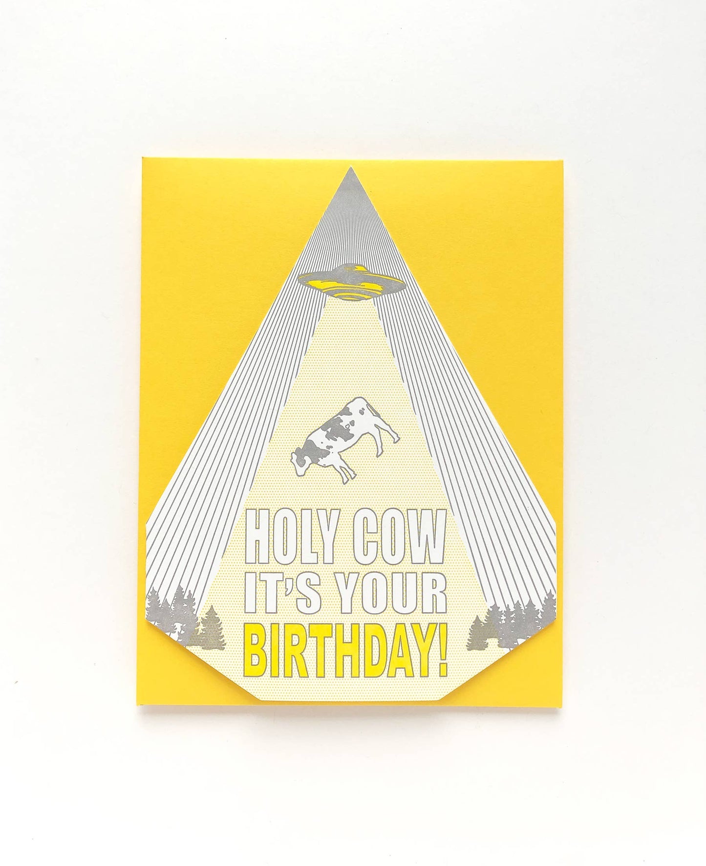 Birthday Card; Holy Cow It's Your Birthday