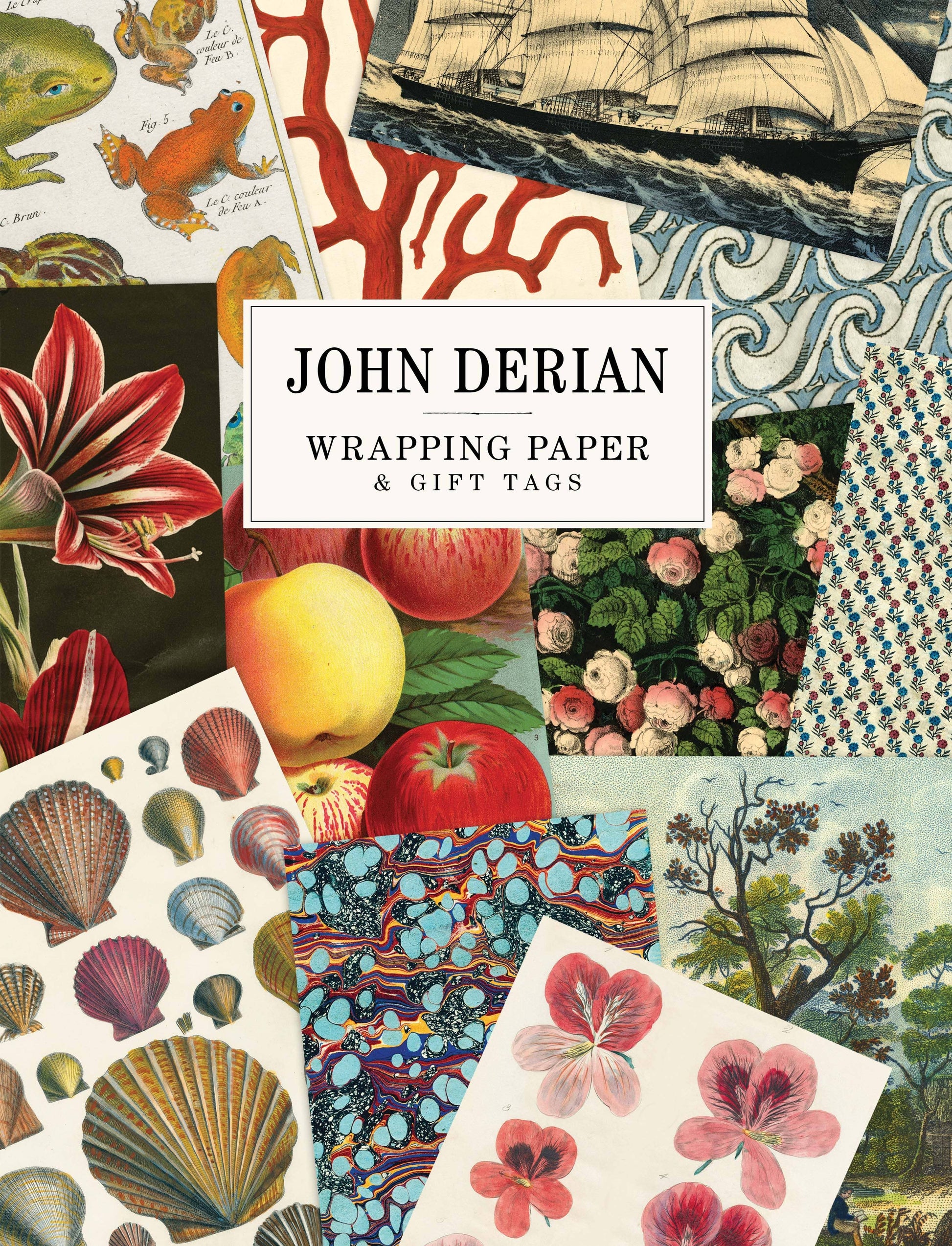 John Derian Wrapping Paper & Gift Tags book cover — collage of 12 wrapping paper sheet designs including 19th-century botanical illustrations of frogs, red amaryllis, seashells, apples, pink roses, pink geraniums, red coral, a tall ship on ocean waves, a blue scrollwork pattern, a small floral print, a marbled teal and rainbow pattern, and a landscape with trees, with "John Derian Wrapping Paper & Gift Tags" title in a white label at center