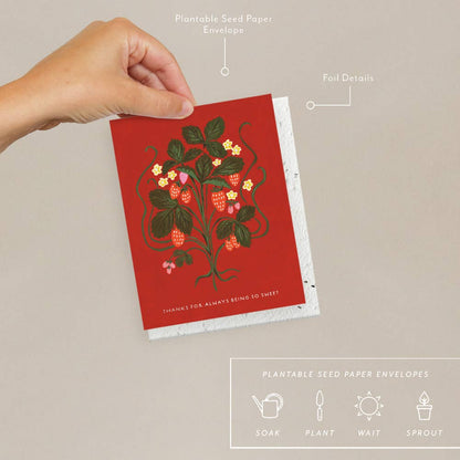 Thank You Card; Sweet Strawberry | Seedlings