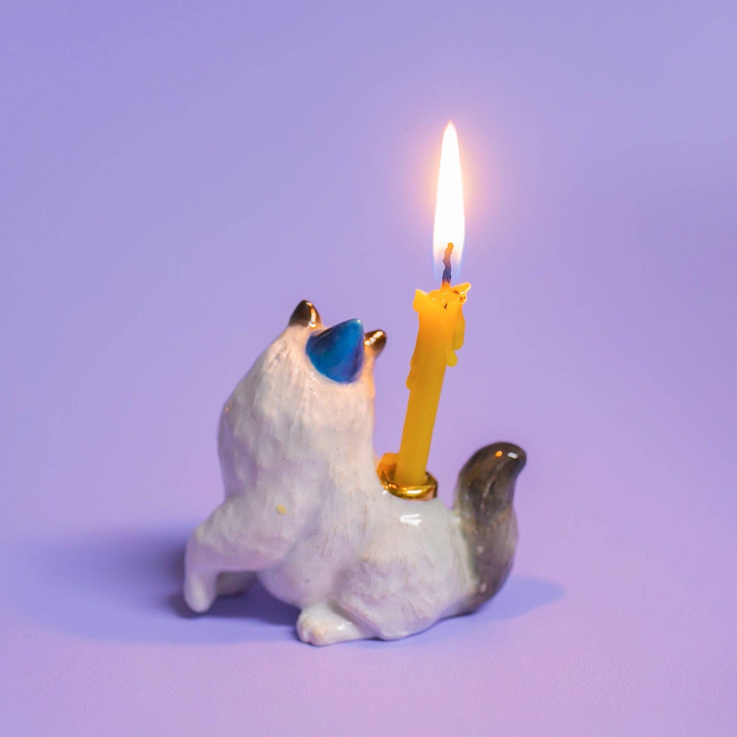 Camp Hollow Cake Topper; Ragdoll Cat