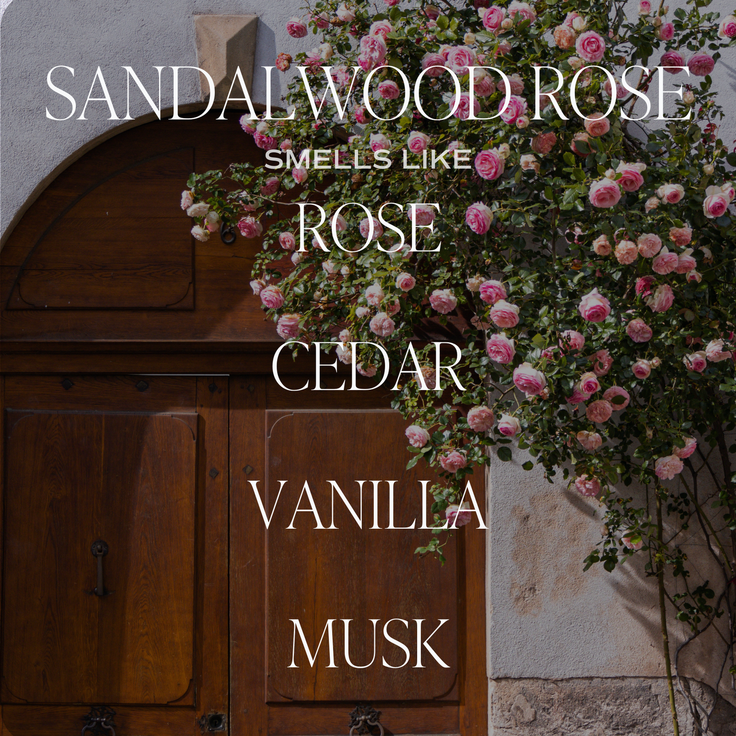 Soy Candle; Sandalwood Rose, 11 oz By Sweet Water Decor (50+ Hours Burn Time)