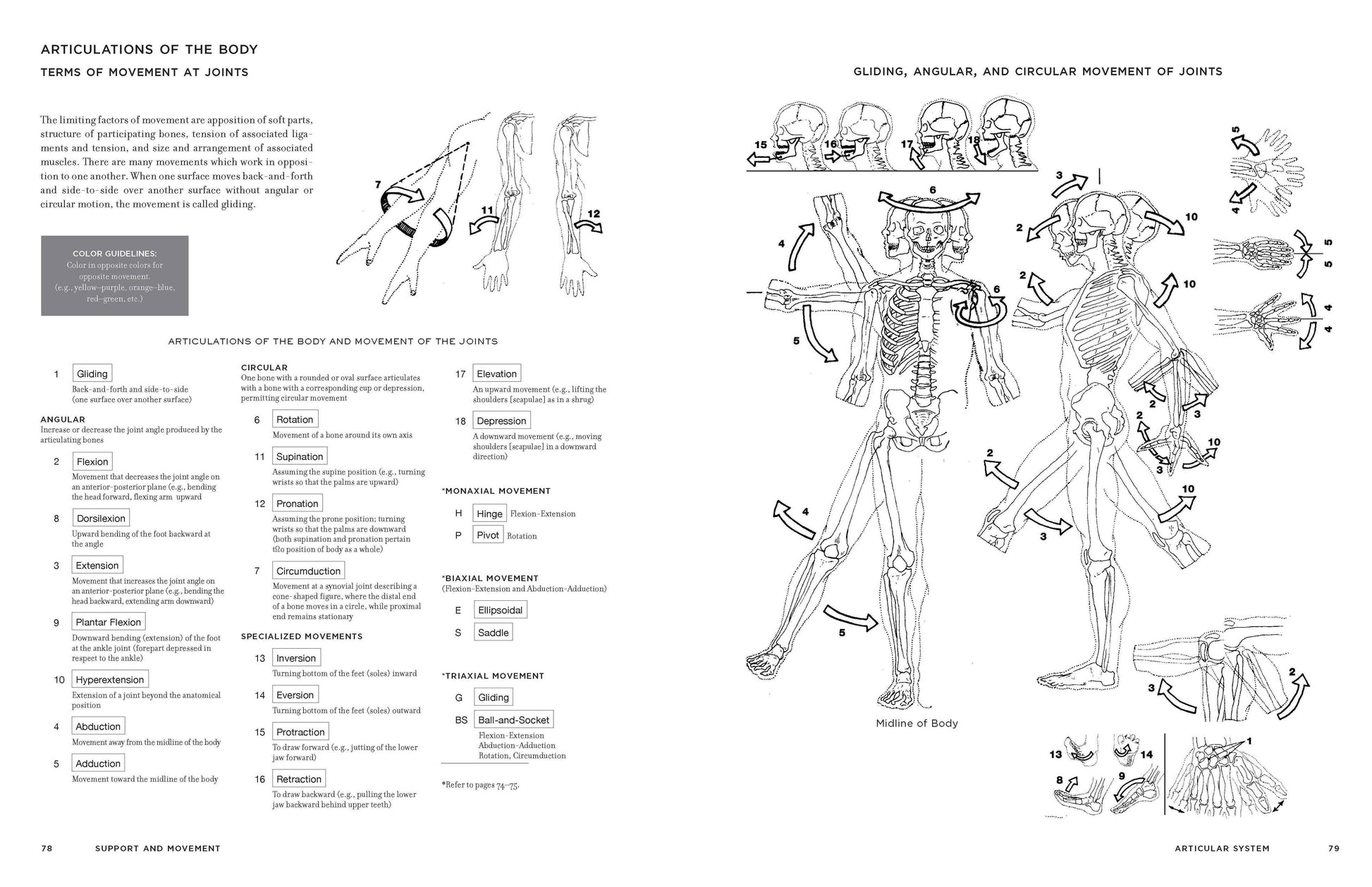 Interior spread of McMurtrie's Human Anatomy Coloring Book showing pages 78–79 Articulations of the Body: Terms of Movement at Joints — numbered list of 18 joint movement types on the left and a full-body skeleton diagram with directional arrows illustrating gliding, angular, and circular joint movements on the right