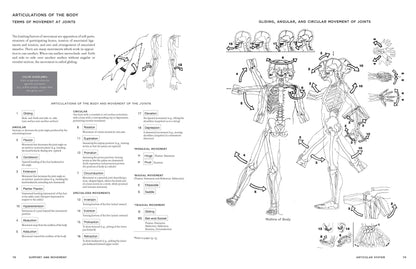 Interior spread of McMurtrie's Human Anatomy Coloring Book showing pages 78–79 Articulations of the Body: Terms of Movement at Joints — numbered list of 18 joint movement types on the left and a full-body skeleton diagram with directional arrows illustrating gliding, angular, and circular joint movements on the right