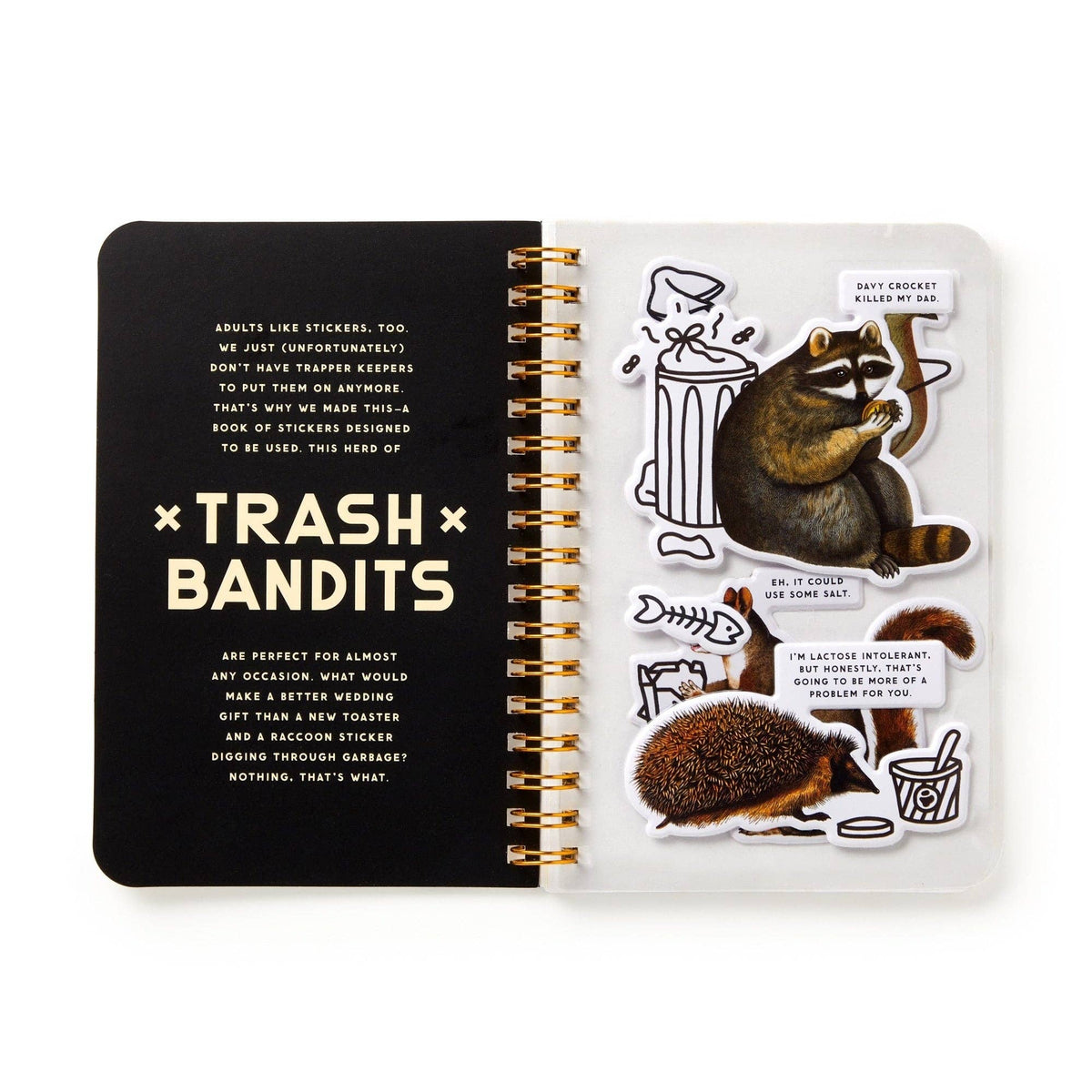 Sticker Book; Trash Bandits | Brass Monkey