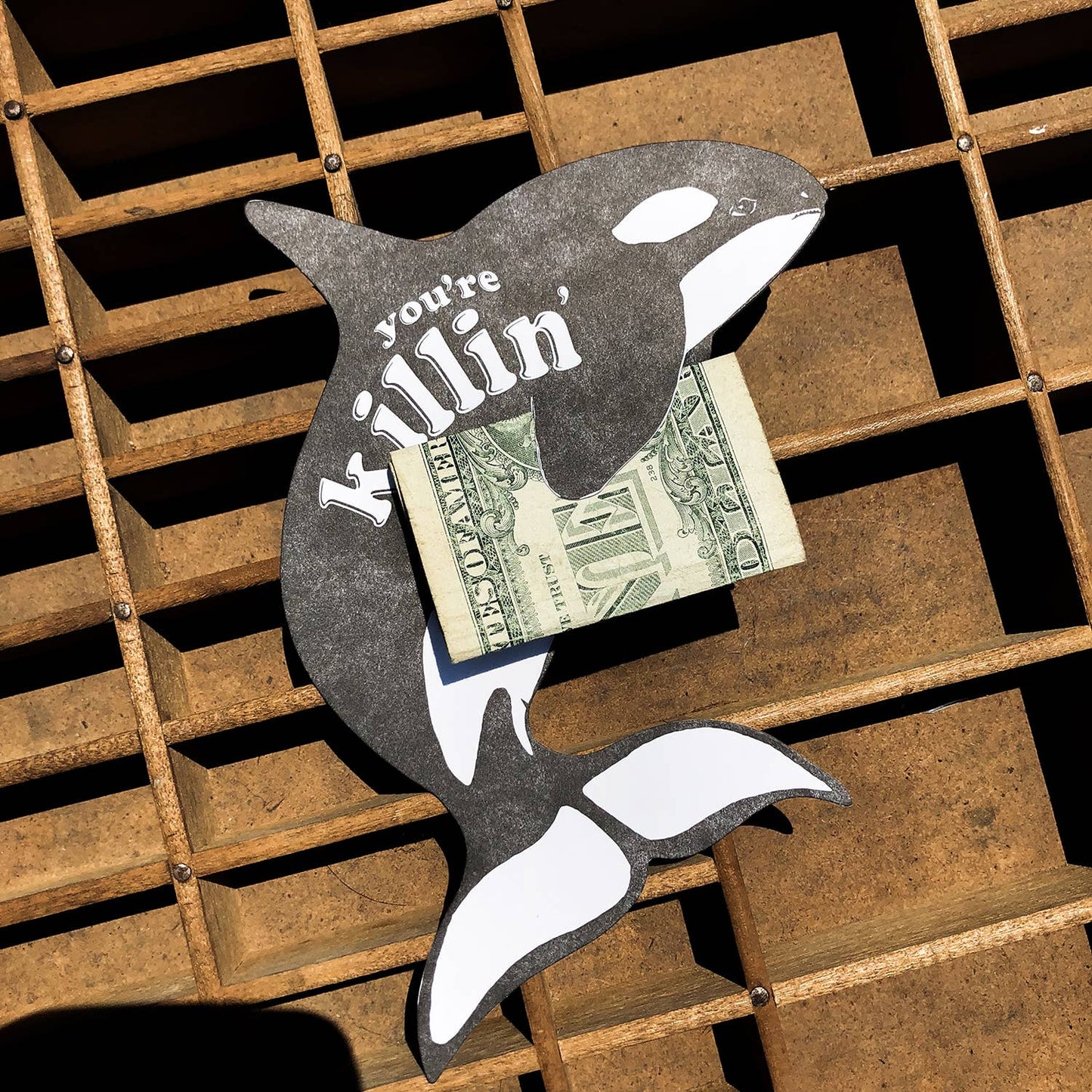 Gift Card Holder; Killin' It Killer Whale