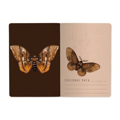 A5 Notebook; Butterflies on Blush | BV by Bruno Visconti