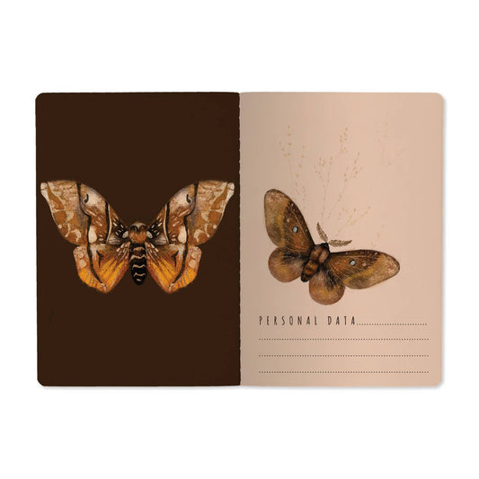 A5 Notebook; Butterflies on Blush | BV by Bruno Visconti